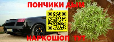 шишки Обь