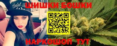 шишки Обь